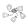 Потолочная люстра Vitaluce V3886-9/5PL - Потолочная люстра Vitaluce V3886-9/5PL