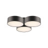 Потолочный светильник Favourite Cerchi 1514-6C - Потолочный светильник Favourite Cerchi 1514-6C