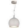 Подвесной светильник Lussole Loft LSN-6126-01 - Подвесной светильник Lussole Loft LSN-6126-01