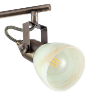  - Спот Arte Lamp A9582PL-4AB
