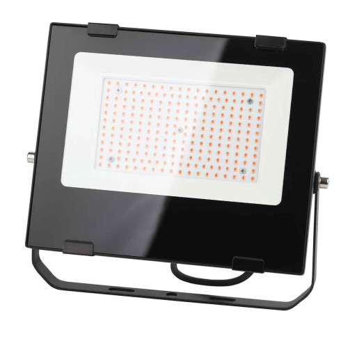 Прожектор светодиодный ЭРА PRO 100W 1200K Fito-100W-RB-Led Б0046369 