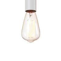  - Подвесной светильник Loft IT Tails Loft1510WH