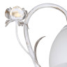Бра Vitaluce V1538/1A - Бра Vitaluce V1538/1A