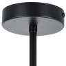 Подвесная люстра Lightstar Siena 720087 - Подвесная люстра Lightstar Siena 720087