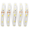 Светодиодная влагозащищенная лента Apeyron 4,8W/m 60Led/m 3528SMD дневной белый 5M 00-147 - Светодиодная влагозащищенная лента Apeyron 4,8W/m 60Led/m 3528SMD дневной белый 5M 00-147