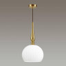 Подвесной светильник Odeon Light Runga 4766/1 - Подвесной светильник Odeon Light Runga 4766/1