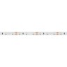 Лента RT 2-5000 12V Warm2700 (3528, 300 LED, CRI98) (Arlight, 4.8 Вт/м, IP20) - Лента RT 2-5000 12V Warm2700 (3528, 300 LED, CRI98) (Arlight, 4.8 Вт/м, IP20)