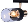 Спот Seven Fires Тина SF4701/2C-MBK+FGD - Спот Seven Fires Тина SF4701/2C-MBK+FGD