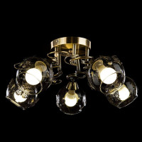  - Потолочная люстра Arte Lamp 29 A5004PL-5AB