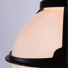 Уличный подвесной светильник Arte Lamp Monaco A1495SO-1BK - Уличный подвесной светильник Arte Lamp Monaco A1495SO-1BK