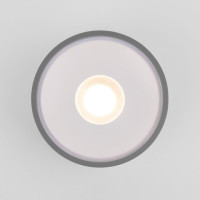  - Уличный светодиодный светильник Elektrostandard Light Led 35141/H серый 4690389180149