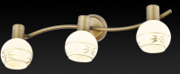  - Спот Toplight Sharleen TL3790Y-03AB