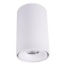 Потолочный светодиодный светильник Elvan NLS-T0155-8W-WW-WHT - Потолочный светодиодный светильник Elvan NLS-T0155-8W-WW-WHT
