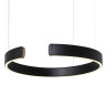 Подвесной светодиодный светильник Loft IT Ring 10025/400 Black - Подвесной светодиодный светильник Loft IT Ring 10025/400 Black