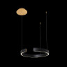 Подвесной светодиодный светильник Loft IT Ring 10025/400 Black - Подвесной светодиодный светильник Loft IT Ring 10025/400 Black