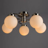 Потолочная люстра Arte Lamp Cloud A8170PL-5SS - Потолочная люстра Arte Lamp Cloud A8170PL-5SS