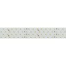 Лента RT-A280-36mm 24V Warm2700 (30 W/m, IP20, 2835, 2.5m) (Arlight, Открытый) - Лента RT-A280-36mm 24V Warm2700 (30 W/m, IP20, 2835, 2.5m) (Arlight, Открытый)