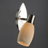 Спот Arte Lamp A4590AP-1SS - Спот Arte Lamp A4590AP-1SS
