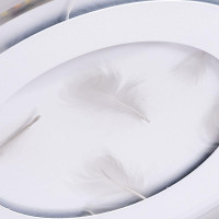  - Потолочный светодиодный светильник Arte Lamp Multi-Piuma A1397PL-1CL