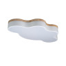 Потолочный светодиодный светильник Loft IT Axel 10005/36 white - Потолочный светодиодный светильник Loft IT Axel 10005/36 white