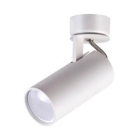  - Спот Odeon Light Corse 3873/1C