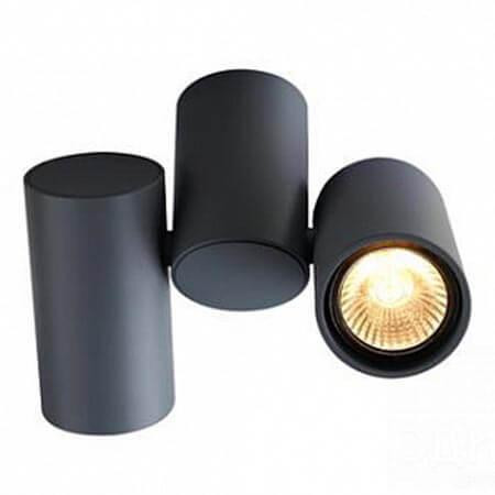 Спот Arte Lamp Gavroche A1511PL-2GY 