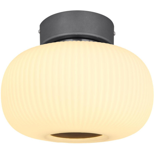 Потолочный светодиодный светильник Globo Boomer 15437D 