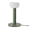 Настольный светильник Freya FR6185TL-L5GN - Настольный светильник Freya FR6185TL-L5GN