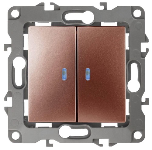Выключатель двухклавишный с подсветкой ЭРА 12 10AX 250V 12-1105-14 Б0019293 
