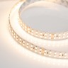 Лента RT 2-5000 24V Warm2700 2x2 (3528, 1200 LED, LUX) (Arlight, 19.2 Вт/м, IP20) - Лента RT 2-5000 24V Warm2700 2x2 (3528, 1200 LED, LUX) (Arlight, 19.2 Вт/м, IP20)