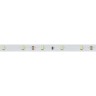 Лента ULTRA-C30-12mm 12V Day4000 (12 W/m, IP20, 5630, 5m) (Arlight, Открытый) - Лента ULTRA-C30-12mm 12V Day4000 (12 W/m, IP20, 5630, 5m) (Arlight, Открытый)