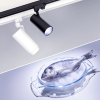  - Светильник LGD-GERA-4TR-R74-20W Cool SP7500-Fish (WH, 24 deg, 230V) (Arlight, IP20 Металл, 3 года)