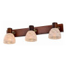 Спот Toplight Shayla TL3730Y-03BB - Спот Toplight Shayla TL3730Y-03BB