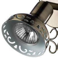  - Спот Arte Lamp Focus A5219AP-1BR