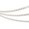 Лента SPI-B96-10mm 12V RGB-PX1-BPT (13 W/m, IP20, 5060, 5m) (Arlight, Открытый) - Лента SPI-B96-10mm 12V RGB-PX1-BPT (13 W/m, IP20, 5060, 5m) (Arlight, Открытый)