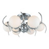 Потолочная люстра Omnilux Dalmine OML-64107-06 - Потолочная люстра Omnilux Dalmine OML-64107-06