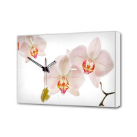  - Настенные часы Белые Орхидеи Timebox Toplight 37х60х4см TL-C5019