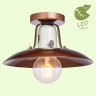 Потолочный светильник Lussole Loft Vermilion GRLSP-8162 - Потолочный светильник Lussole Loft Vermilion GRLSP-8162