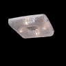 Потолочный светильник Lightstar Zucche 820440 - Потолочный светильник Lightstar Zucche 820440