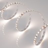 Лента RT-A120-8mm 24V Day4000 (14.4 W/m, IP20, 2835, 5m) (Arlight, Открытый) - Лента RT-A120-8mm 24V Day4000 (14.4 W/m, IP20, 2835, 5m) (Arlight, Открытый)
