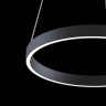 Подвесной светодиодный светильник Maytoni Rim MOD058PL-L22B4K - Подвесной светодиодный светильник Maytoni Rim MOD058PL-L22B4K