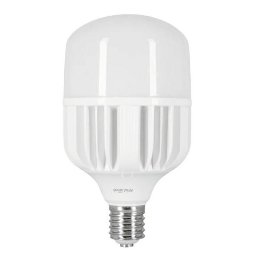 Лампа светодиодная сверхмощная Gauss E40 75W 6500К матовая 11734382 