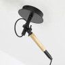 Подвесной светильник F-Promo Eureka 3006-1P - Подвесной светильник F-Promo Eureka 3006-1P