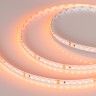 Лента RT 2-5000 24V Orange 2x (3528, 600 LED, LUX) (Arlight, 9.6 Вт/м, IP20) - Лента RT 2-5000 24V Orange 2x (3528, 600 LED, LUX) (Arlight, 9.6 Вт/м, IP20)