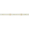 Лента RT-A144-10mm 24V Day4000 (7.7 W/m, IP20, 2835, 5m) (Arlight, высок.эфф.200 лм/Вт) - Лента RT-A144-10mm 24V Day4000 (7.7 W/m, IP20, 2835, 5m) (Arlight, высок.эфф.200 лм/Вт)