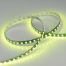 Лента RT 2-5000 24V RGB 3X (5060, 420 LED, BLACK) (Arlight, 21 Вт/м, IP20) - Лента RT 2-5000 24V RGB 3X (5060, 420 LED, BLACK) (Arlight, 21 Вт/м, IP20)