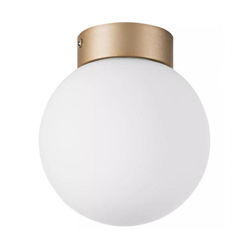 Настенно-потолочный светильник Lightstar Globo 812013 