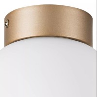  - Настенно-потолочный светильник Lightstar Globo 812013