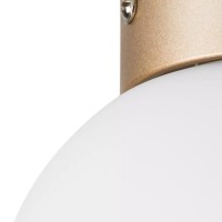  - Настенно-потолочный светильник Lightstar Globo 812013