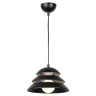 Подвесной светильник Lussole Loft Beijing GRLSP-8131 - Подвесной светильник Lussole Loft Beijing GRLSP-8131